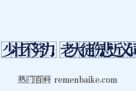 少壮不努力，老大徒伤悲近义词是什么意思的图片